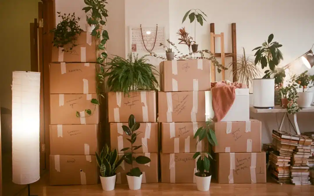 Decluttering Before a Move Isn’t the Hard Part. Deciding Is.