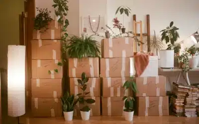 Decluttering Before a Move Isn’t the Hard Part. Deciding Is.